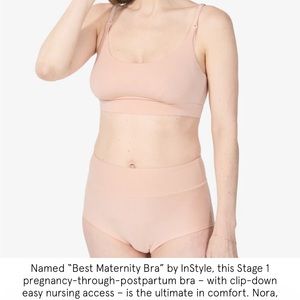 Bodily “The Everything Bra” & matching “the All in panty” size large, color clay